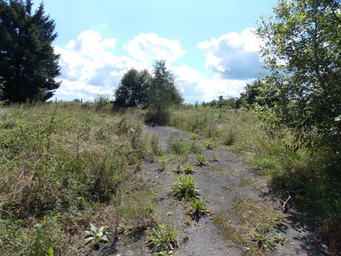 Foto 19